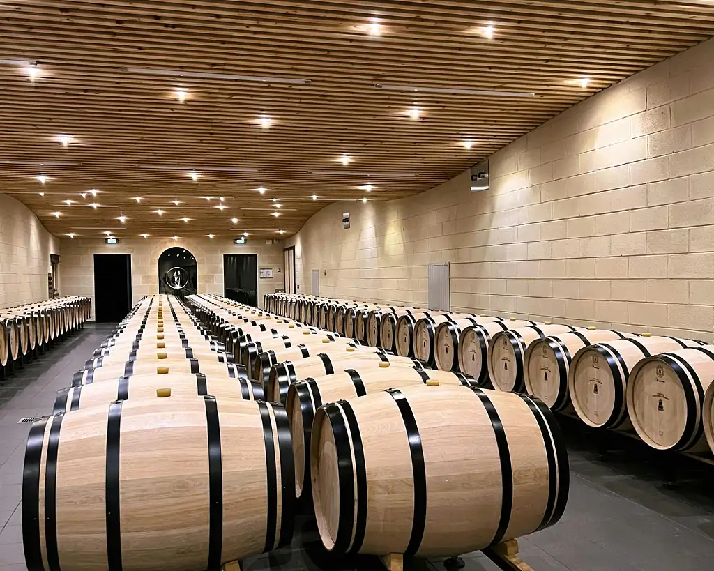 Gourmet and Vineyards Tour in Bordeaux | Small Group Tour