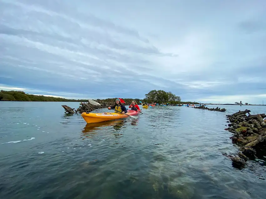 Ships' Graveyard & Dolphin Kayak Tour