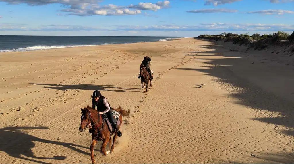 90 Mile Beach Horse Riding Campout Beginner Rider - 3 Days 2 Nights