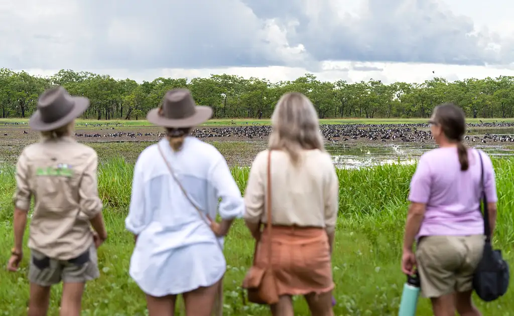 Jumping Crocodile Tour | From Darwin (BDTNT20DAY)