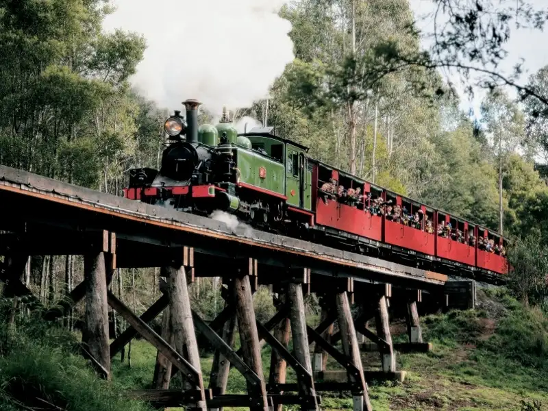 Puffing Billy Steam Train & Yarra Valley Wineries Tour