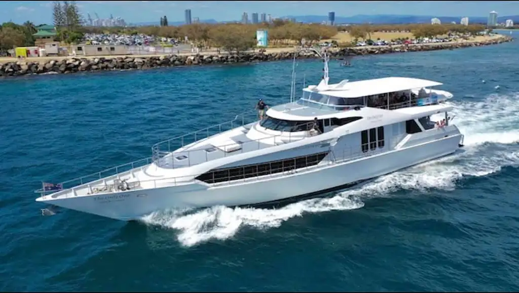 Small Group, Super Yacht Whale Watching Experience