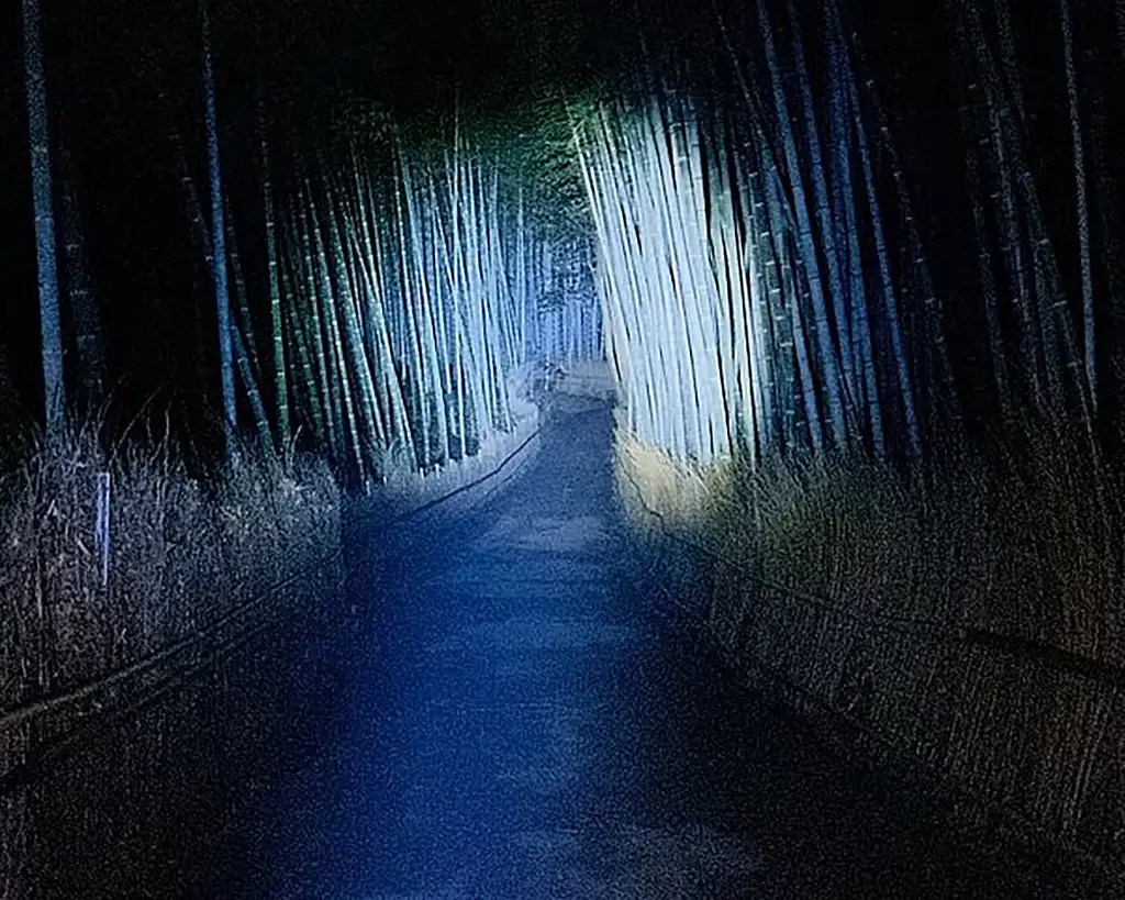 Ghost Hunting In The Bamboo Forest Arashiyama At Night