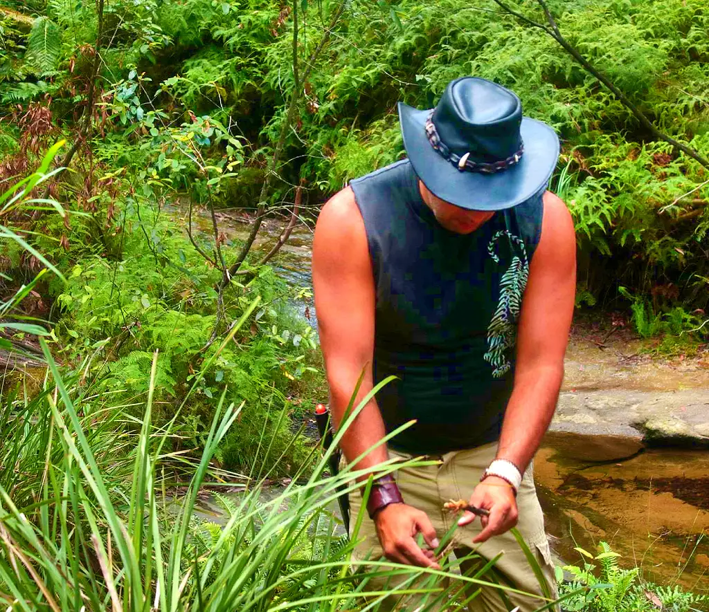 Wollemi 4WD & Glow Worm Tunnel Adventure Tour