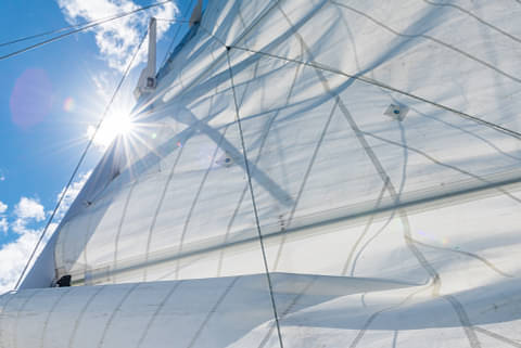 Paihia Sailing