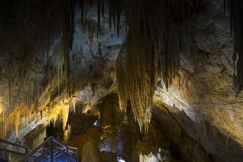 Hastings Caves, Tahune & Huon Valley Tour Discount