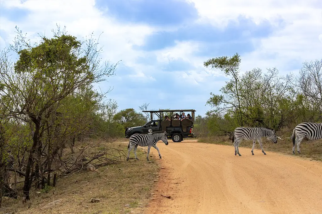 12-day South Africa Adventure Johannesburg to Cape Town | Intro Travel