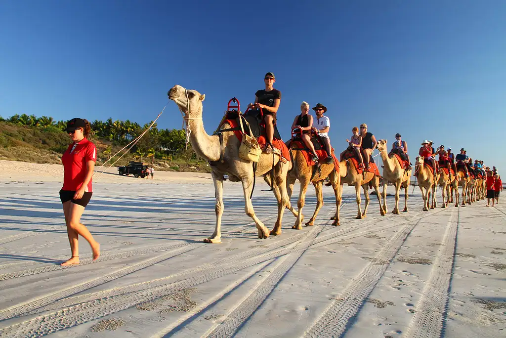 Darwin to Broome Overland Tour - 10 Days