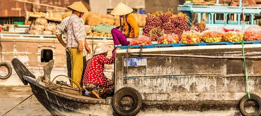 Mekong River and My Tho Tour - Full Day