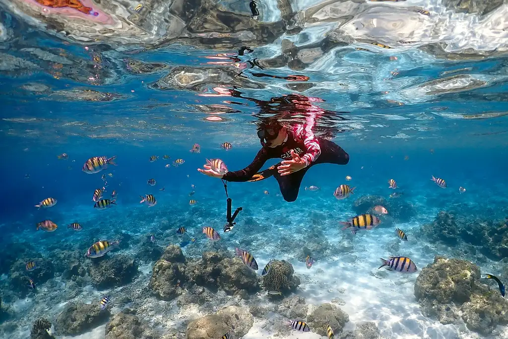 Speedboat Tour from Phuket to Racha Islands with Snorkelling | Full Day Tour