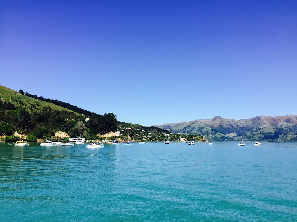 Akaroa Day Tour & Nature Cruise