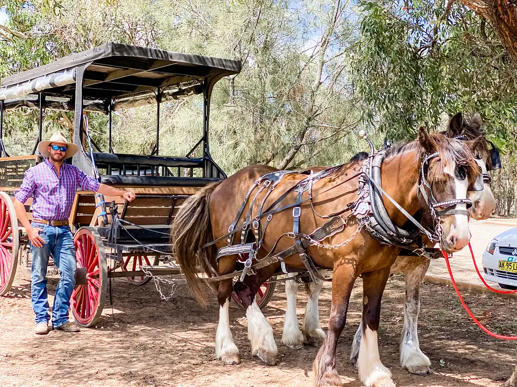 Harvest the Hunter Horse and Carriage Wine Tour
