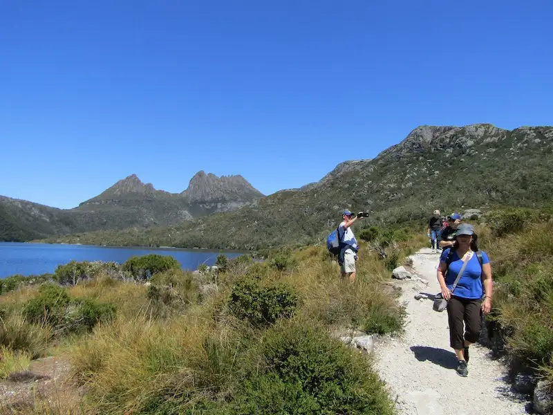 Cradle Mountain World Heritage Day Tour from Launceston