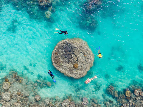 Ocean Rafting Adventure