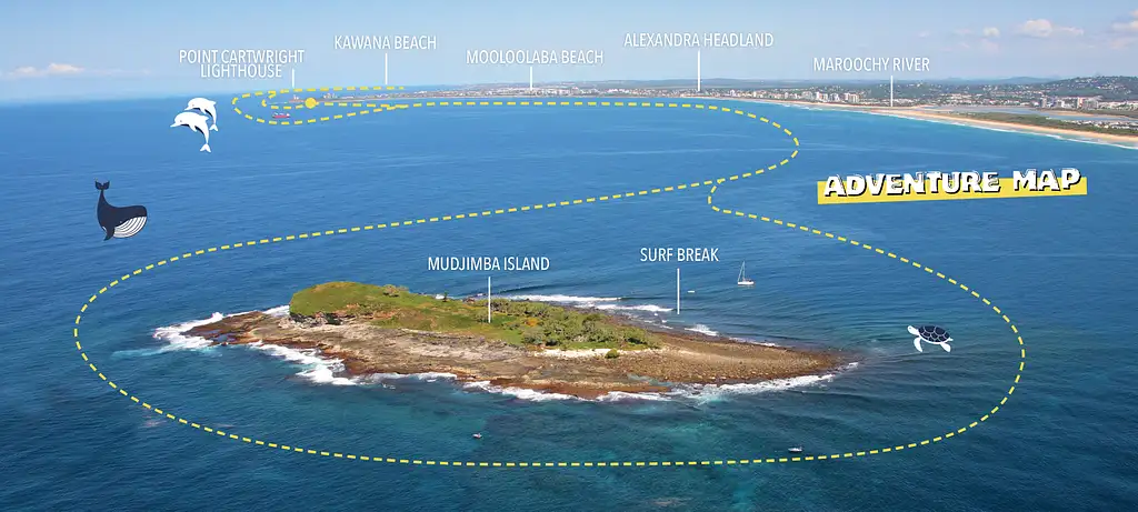 Mooloolaba Turtle Tour | Nov - May