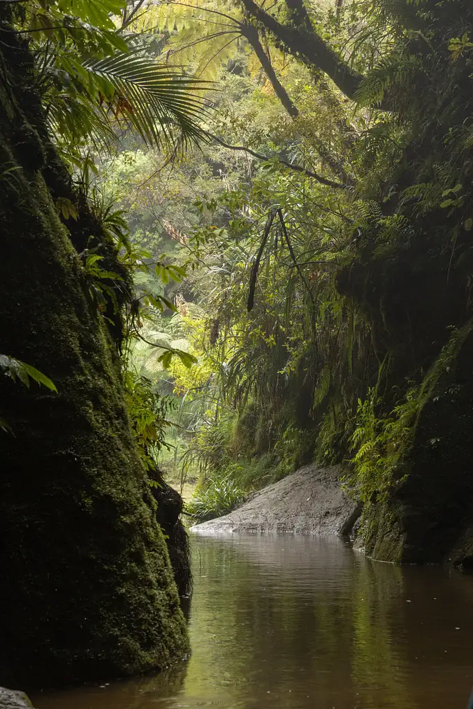 1-Day Whanganui River Journey - Freedom Paddle