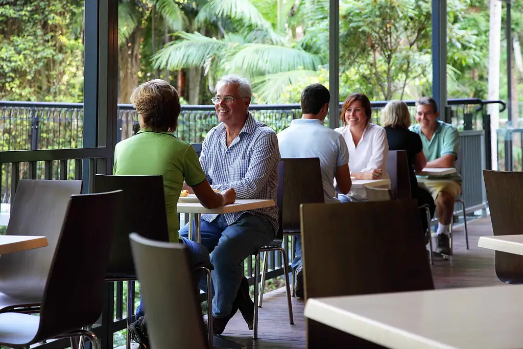 Mt Tamborine Rainforest Skywalk + Hop on Hop Off Pass from Gold Coast