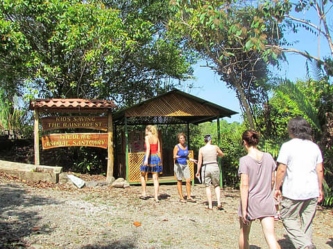 wildlife-animal-sanctuary-costa-rica