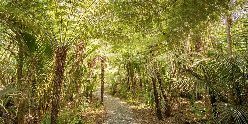 Auckland - Best of Both Worlds City And Nature Tour