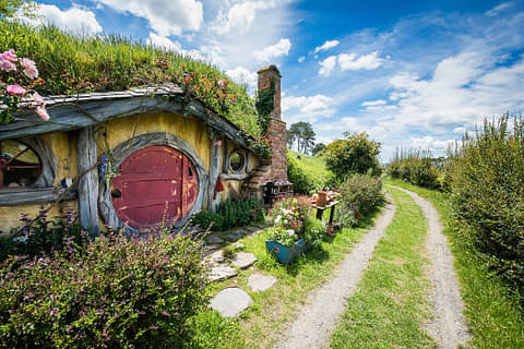 Hobbiton movie set half day tour
