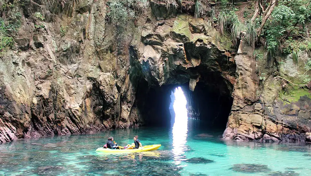 Whenuakura (Donut) Island Deluxe Guided Experience