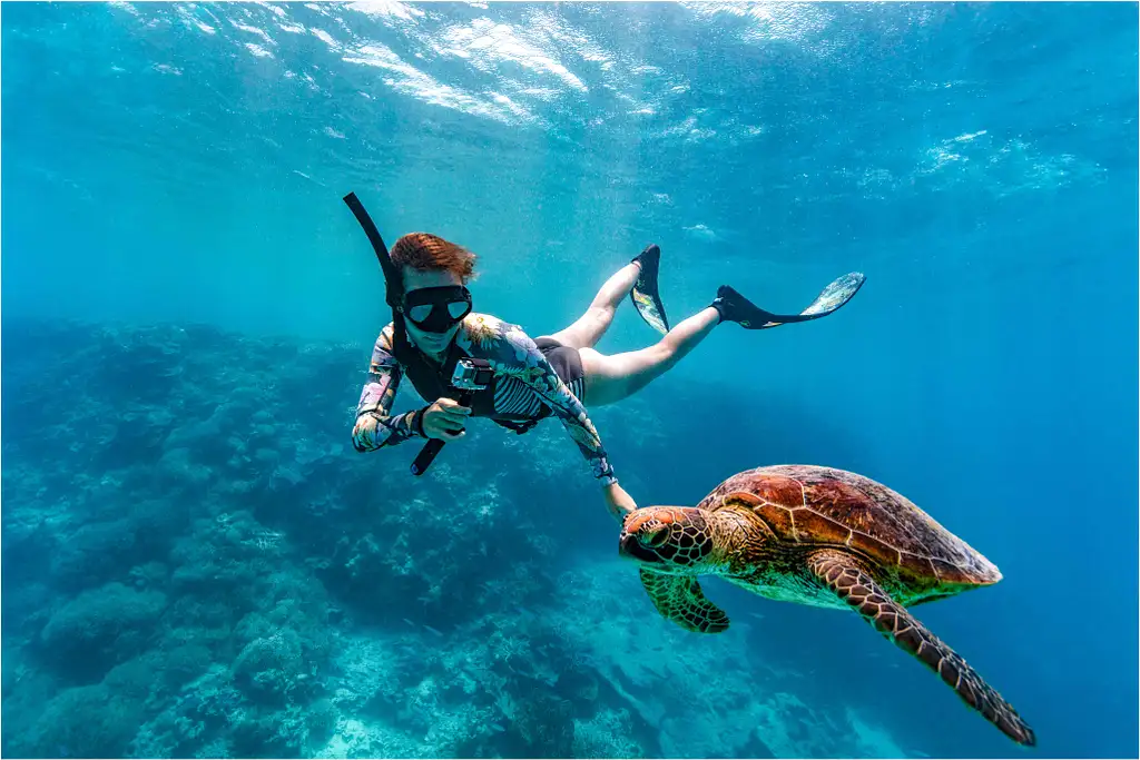 Lady Musgrave Experience Southern Great Barrier Reef Full Day Tour | From Bundaberg