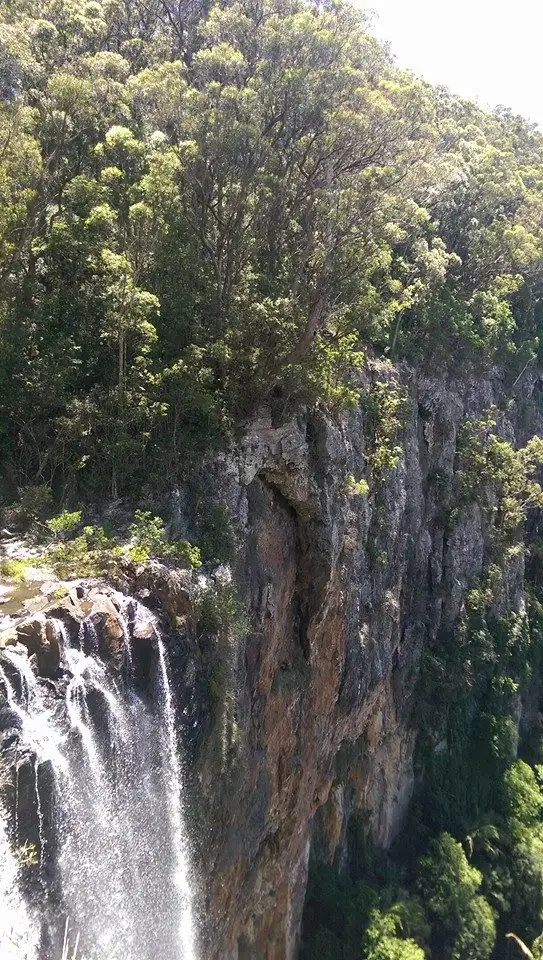 Springbrook National Park 1 Day Tour