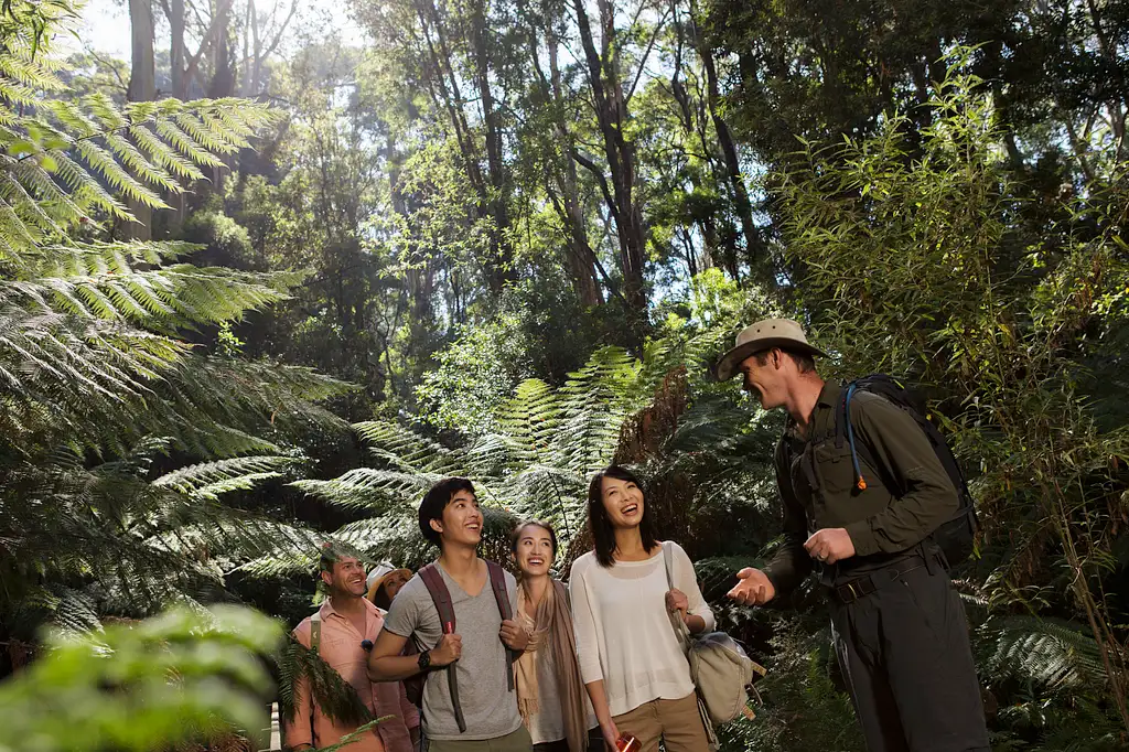 Explore The Great Ocean Road & Twelve Apostles