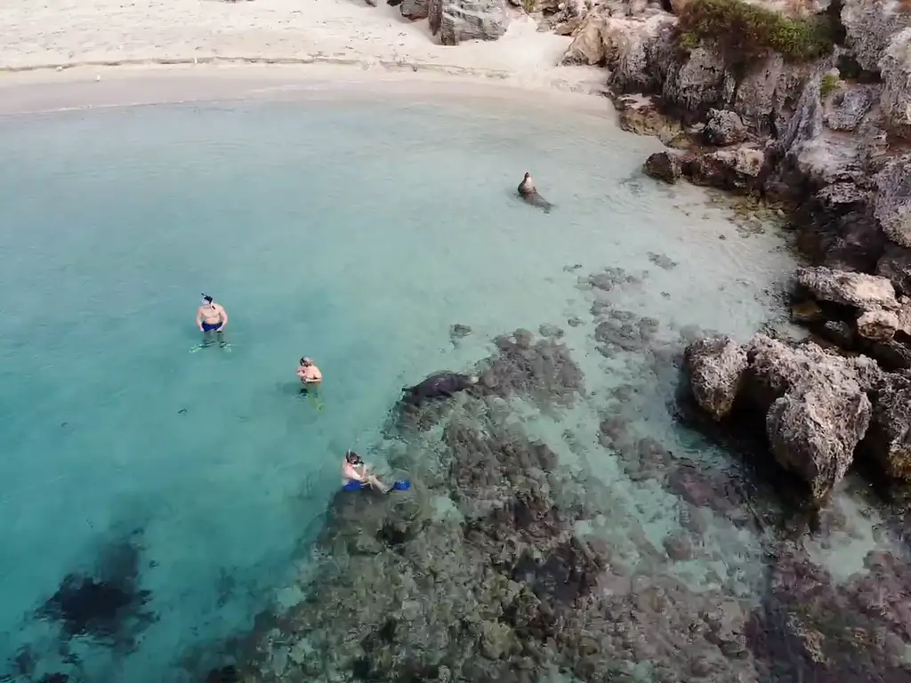Snorkelling Adventure Tour From Fremantle