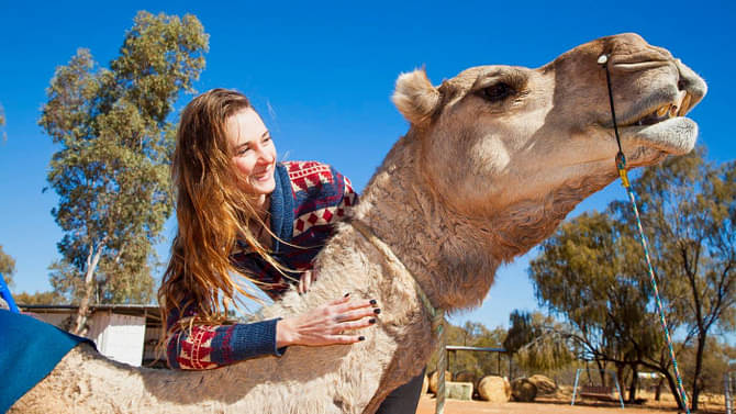 alice springs camel rides