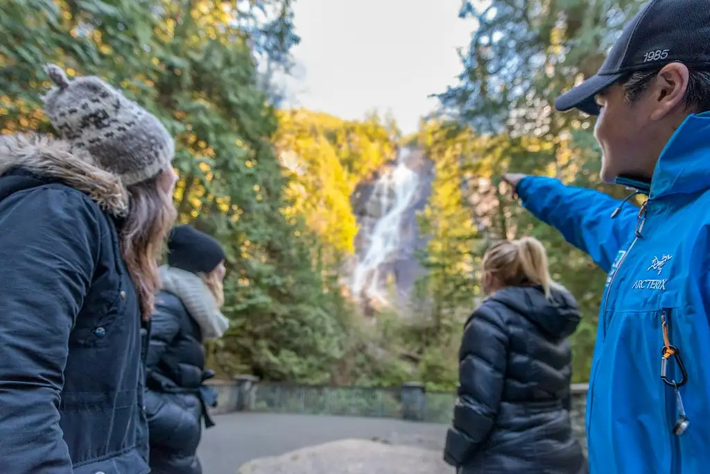 Whistler, Shannon Falls and Sky Gondola Tour