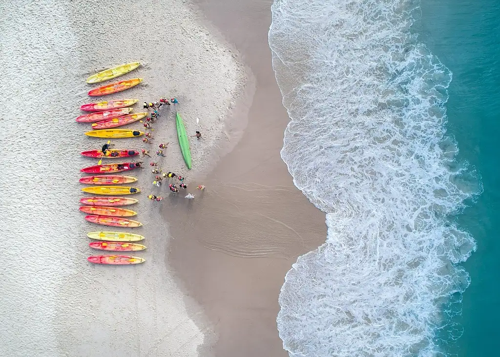 Dolphin Watching and Kayaking Experience from Byron Bay