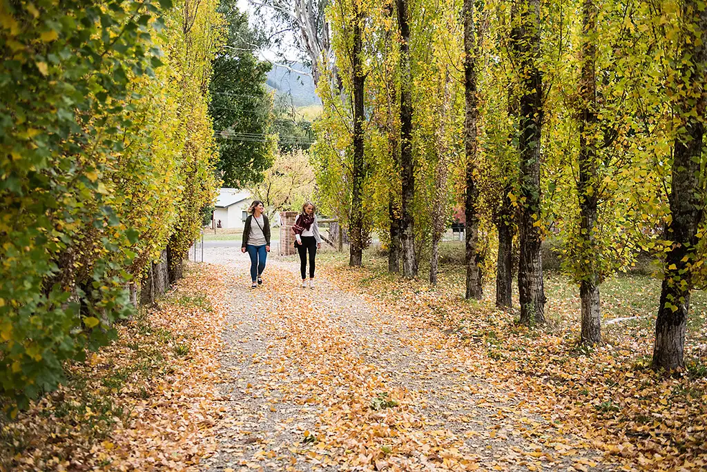 4 Day Cycle of the Murray to Mountains Rail Trail | Intrepid Tour