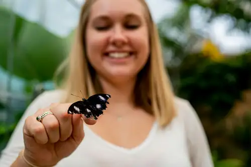 Wildlife Sydney Zoo tickets - WILD LIFE Sydney - Daily