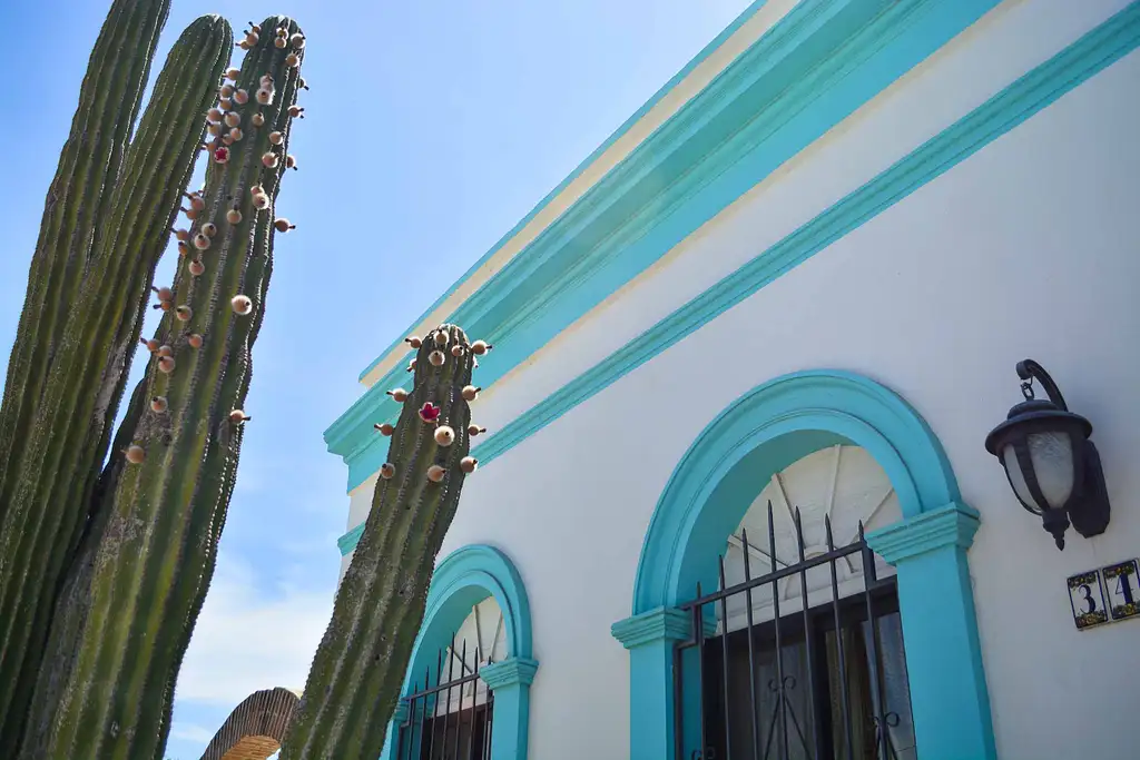 4WD Jeep Tour Of Todos Santos