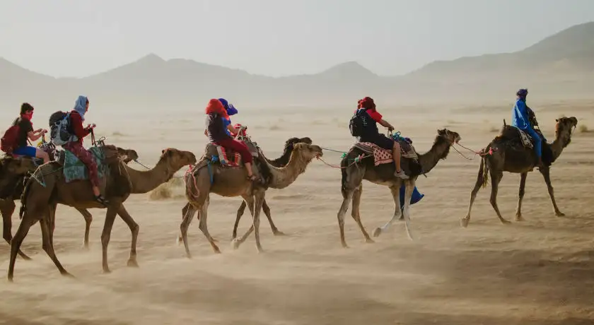 Best of Rajasthan Tour