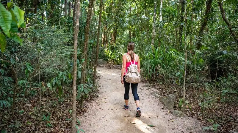 7 Day North Queensland Coast & Islands Adventure | Intrepid Tour