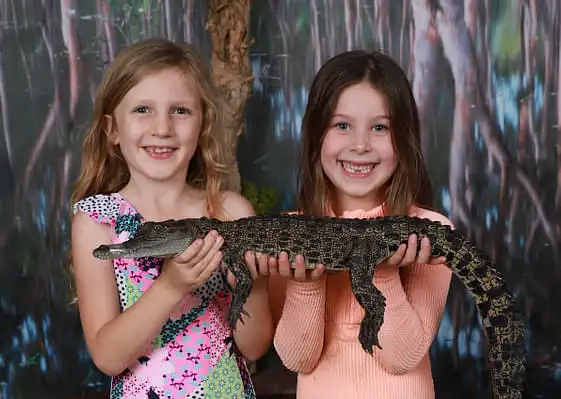 Croc ‘n’ History Explorer