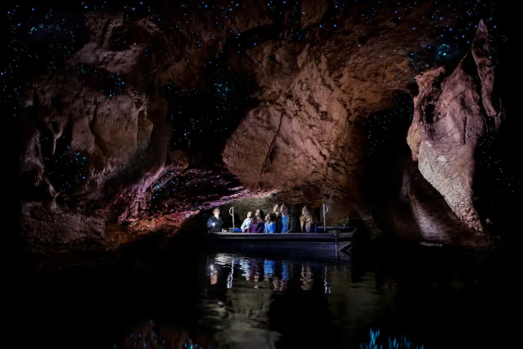 Te Anau Glowworm Cave Tour