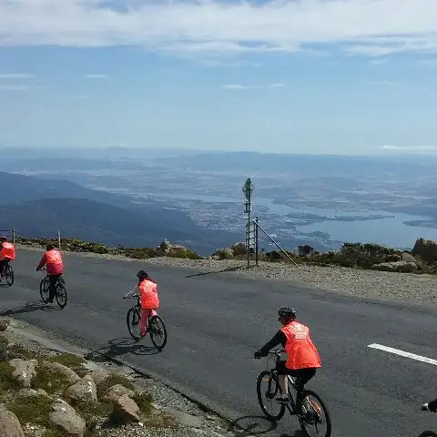 mt wellington bike tour