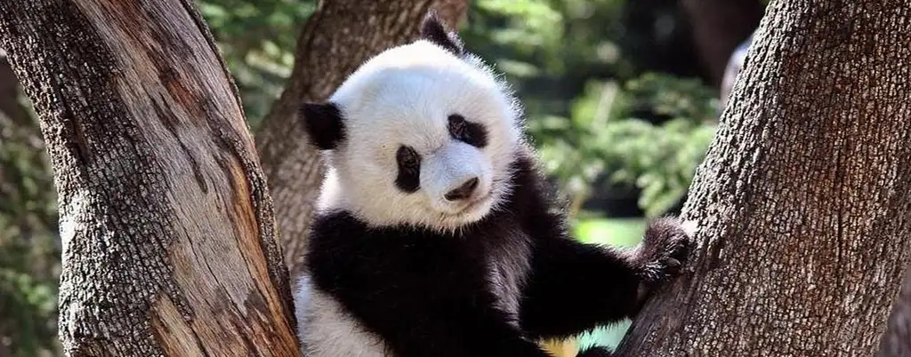 Zoo Aquarium Madrid Entrance Tickets