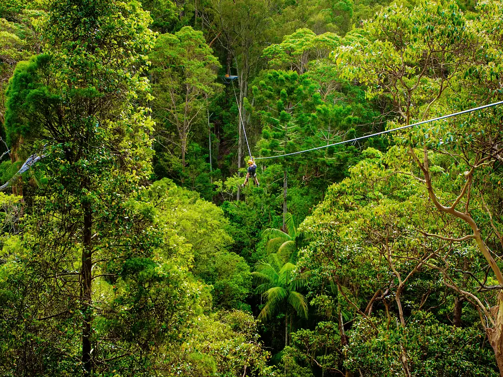 Canyon Flyer Zipline Tour Mount Tamborine - Australia's Largest Zipline Tour!
