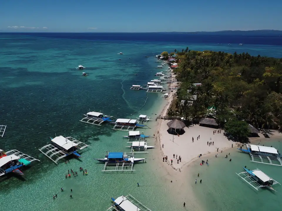 Whale Shark Swim and Canyoning Adventure | Oslob