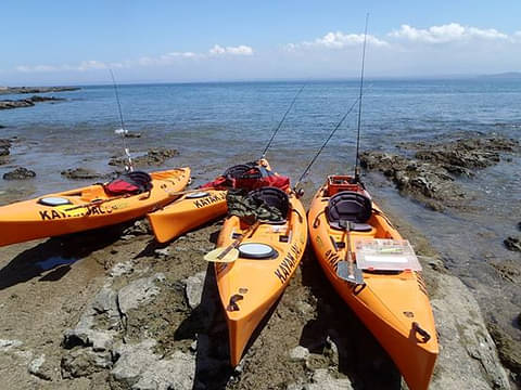 Kayak and Snorkeling from Jaco.jpg