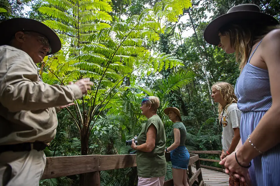 Daintree Rainforest & Chillagoe Caves 2 Day Package**Save $48pp**