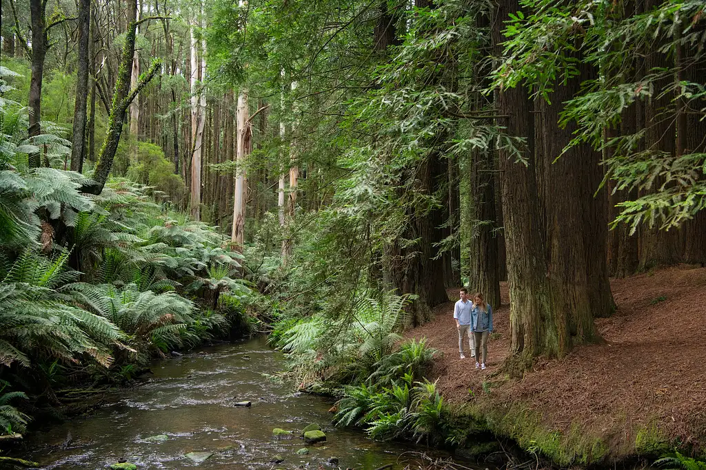 3 Day Great Ocean Road & Grampians Tour | Adelaide to Melbourne