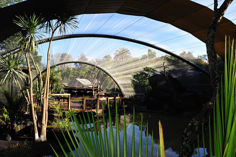 auckland zoo disocunt