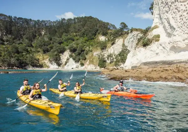 'Northern Round-up' Bus Pass | NZ North Island | Kiwi Experience
