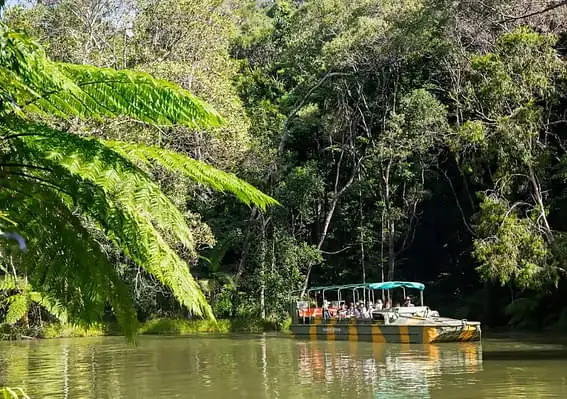 Rainforest river cruise - Rainforestation & Kuranda tour