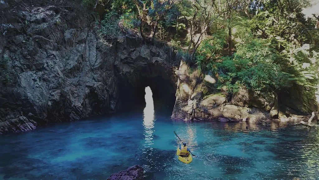 Whenuakura (Donut) Island Deluxe Guided Experience